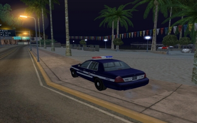 Polish Policja Police